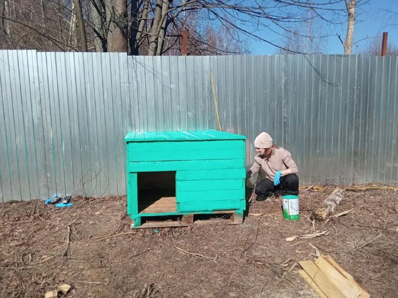 Приют для животных вичуга добрый дом. Приют добрый дом вичуга. Приют для животных вичуга добрый дом. Добрый дом вичуга приют для животных. Добрый дом вичуга приют для животных.