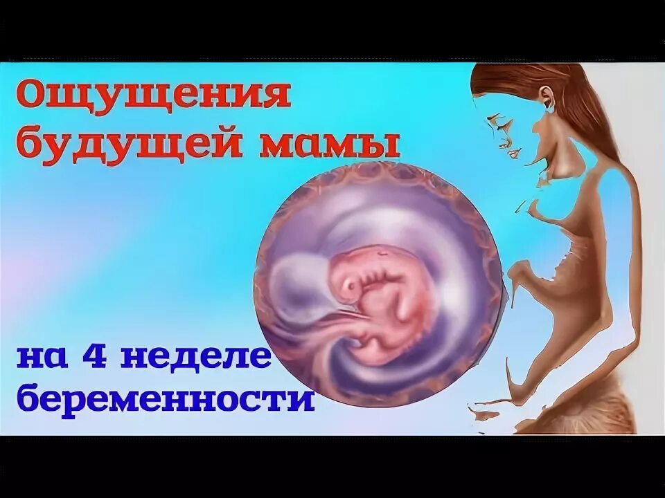 4 неделя берем. 4 неделя берем