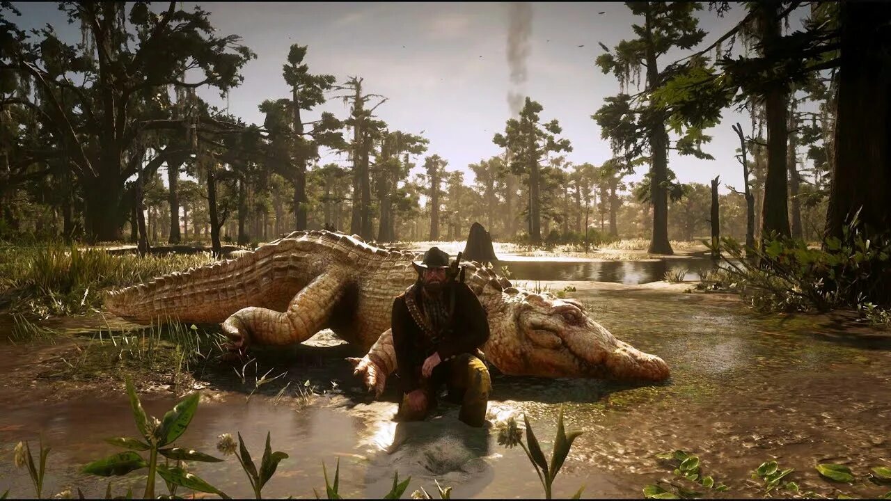 Legendary animal. Легендарный Аллигатор rdr 2.