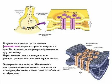 Существующем контакты
