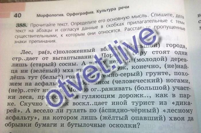 Прочитайте текст и согласуя его с рисунком. Лес расположенный вблизи большого города страдает от вытаптывания. Лес расположенный вблизи большого города. Лес расположение вблизи большого города страдает от вытаптывания. Текст лес расположенный вблизи большого города.