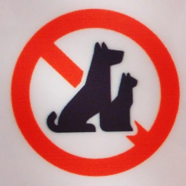 Вход с собаками запрещен. Проход с собаками запрещен табличка. Знак с собаками вход запрещен. Знак животные запрещены.