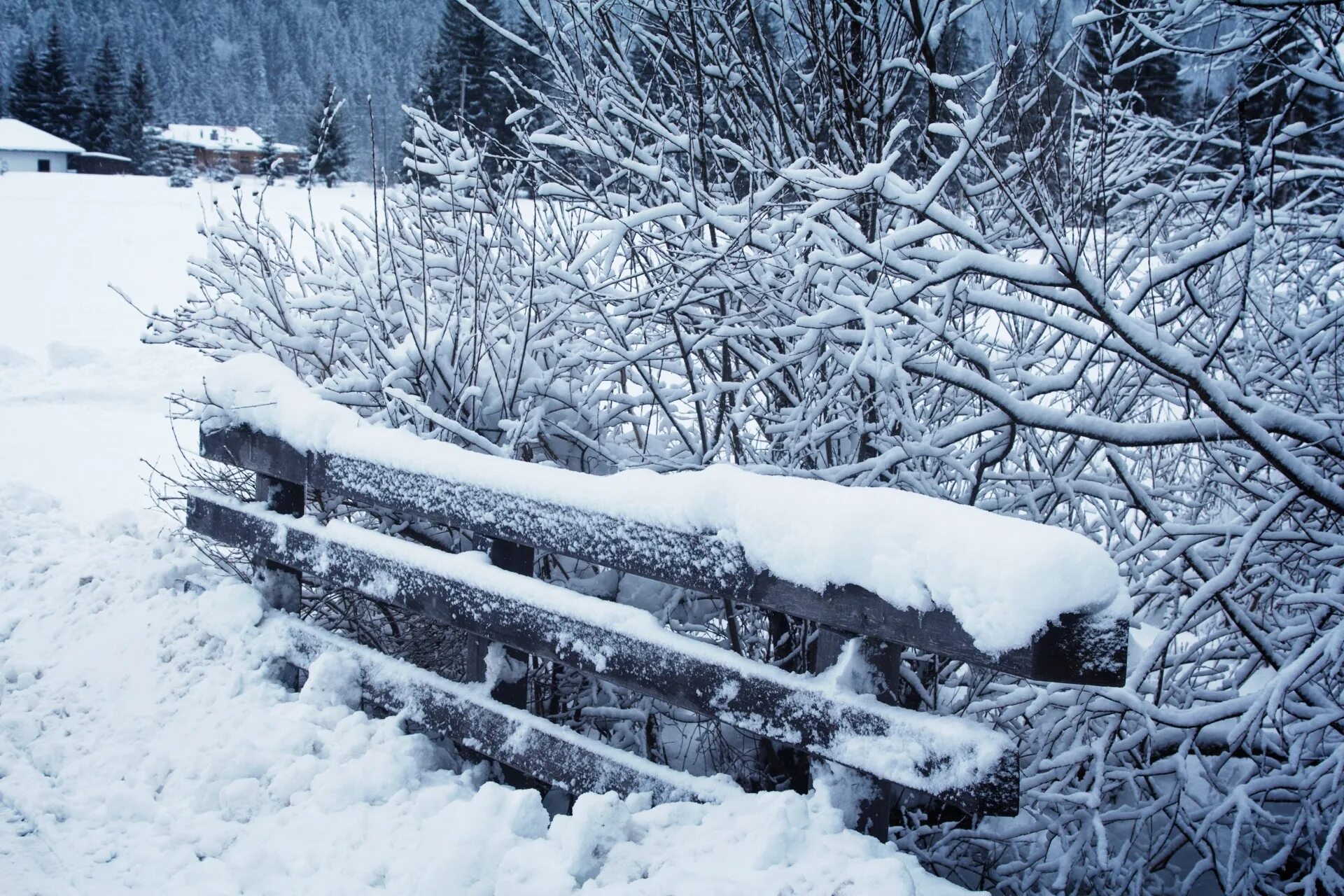 Холодная зима. Холодная Снежная зима. Холодный климат. Снег и холодно. Cold and snowy