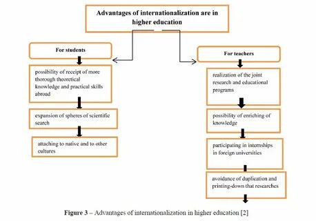 Role of higher education