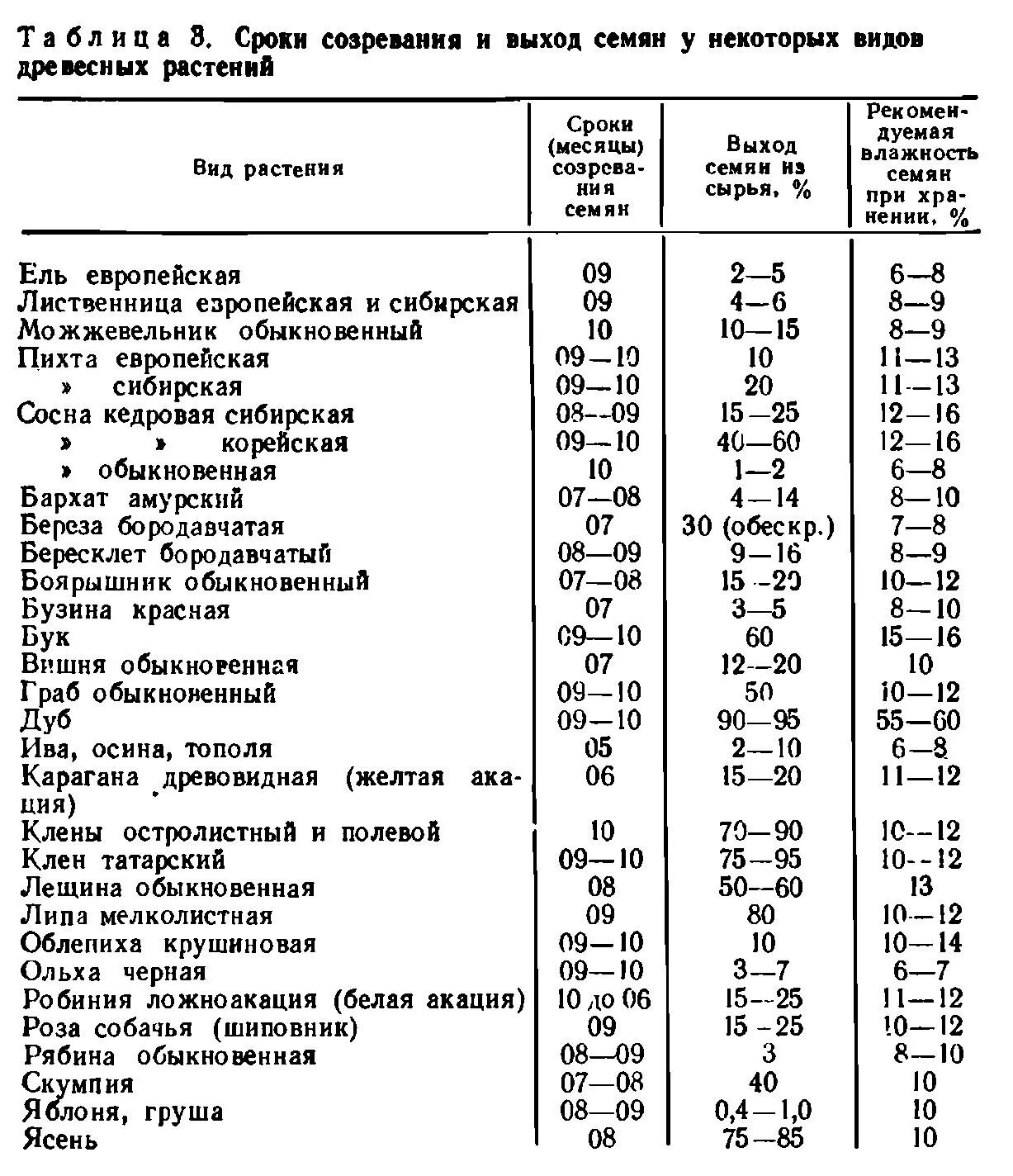 Сроки посева хвойных пород. Сроки стратификации семян древесных пород таблица. Норма высева семян сосны обыкновенной. Нормы высева семян лиственницы сибирской. Вес 1000 шт семян сосны обыкновенной.