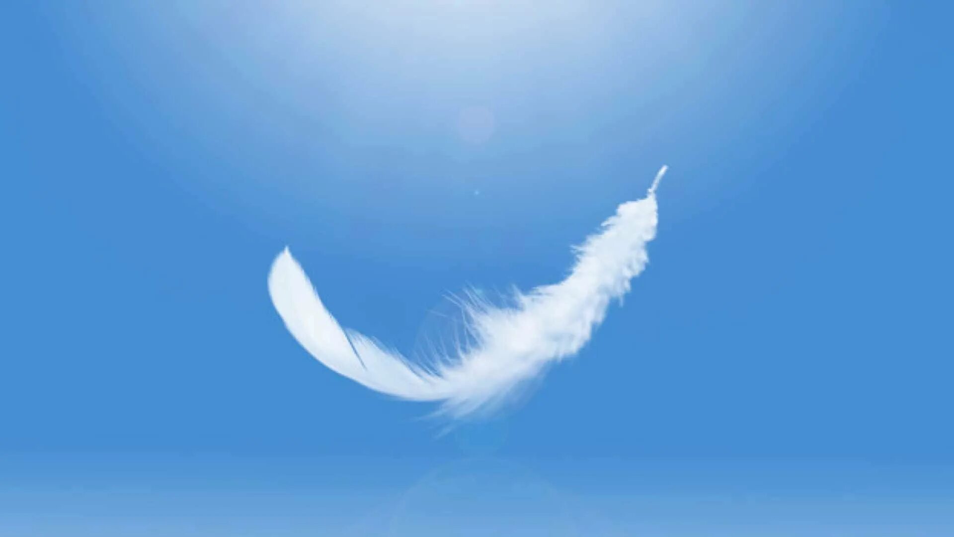 Падающие перья. Фон перья. Падающие перья. Перо в воздухе. Летящие перья.