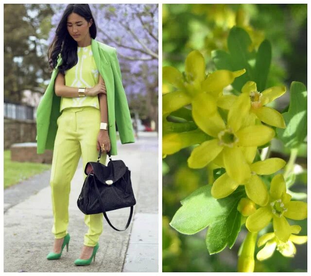 Зеленый цвет холодный и теплый. Зеленый цвет названия. Желто-зеленый цвет. Зеленый цвета м оттенки. Фисташковый и салатовый цвет.