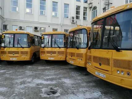 Сланцы новый школьный автобус