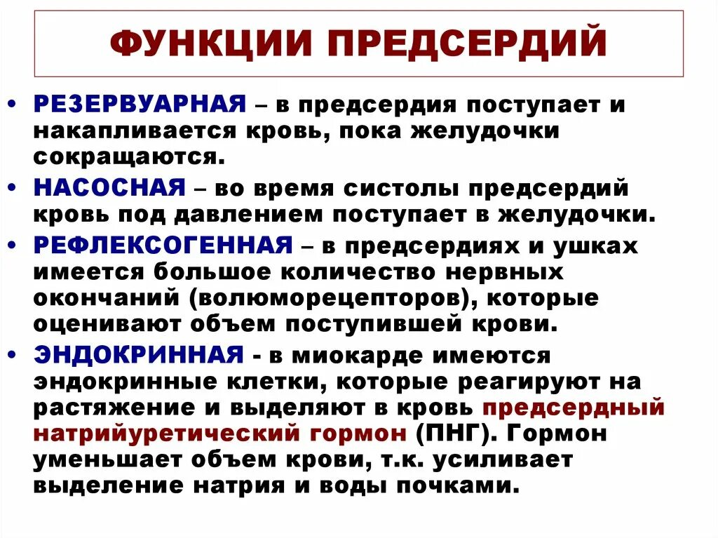 Какая функция предсердий. Функции предсердий и желудочков. функция ушек предсердий. ушко левого предсердия функции. правое предсердие функции.