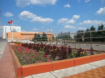 Цветы орехово зуево