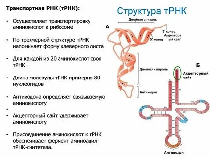 Энергетическая каталитическая двигательная транспортная структурная