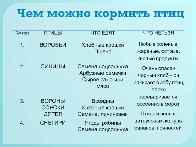 Чем можноткормить птиц. Чем кормить птиц. Чем можно подкармливать птиц. Что нельзя давать птицам. Можно ли птицам крупу