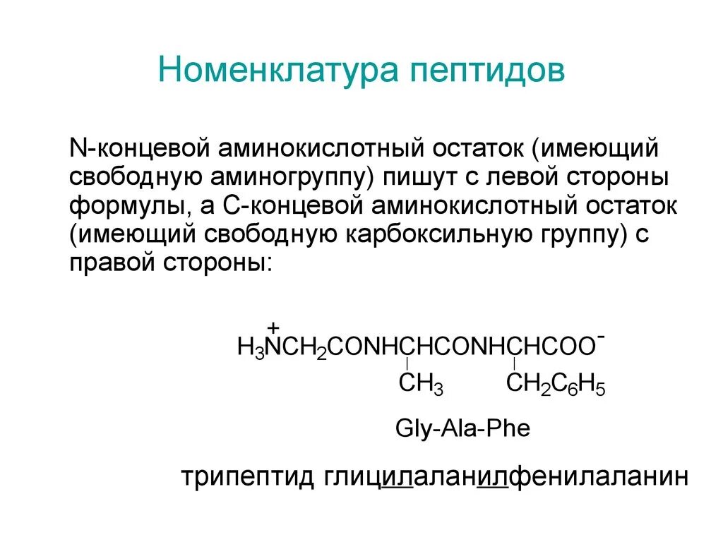 Полипептиды свойства. Белки номенклатура химия. Пептиды номенклатура пептидов. Номенклатура полипептидов. Пептиды строение номенклатура.