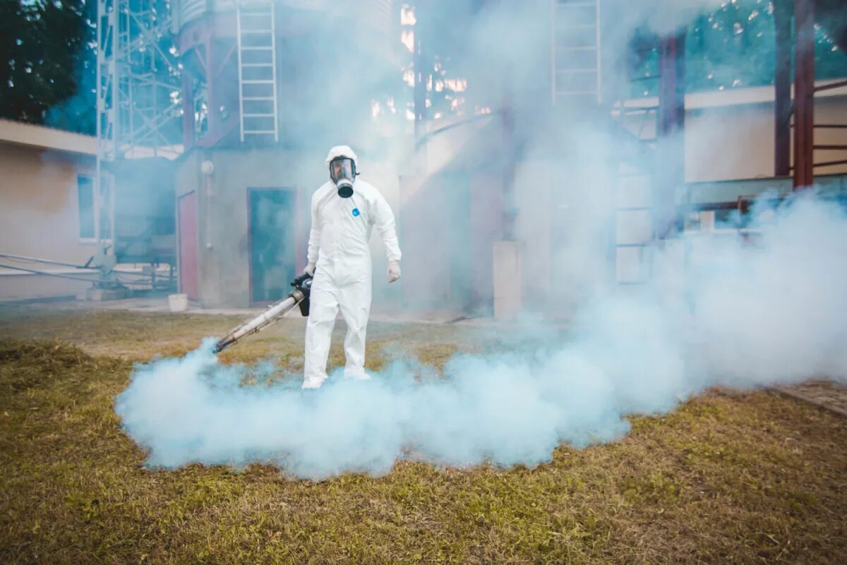 Хим обработку. Фумигация зерна фосфином. Химическая защита растений. Химический метод борьбы с насекомыми. Утилизация ртутных ламп ярославль.