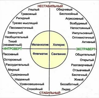 Определить сферу деятельности тест