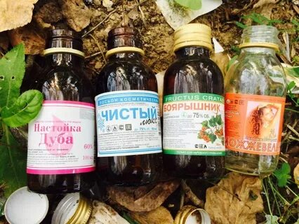 Настойка коры дуба