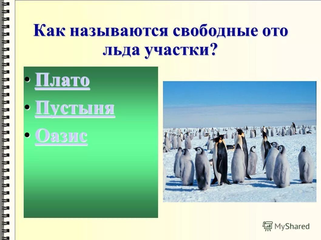 Какие колебания называются свободными. Образная информация. Связанный вектор. Как называется свободная работа. Что называют свободным падением.