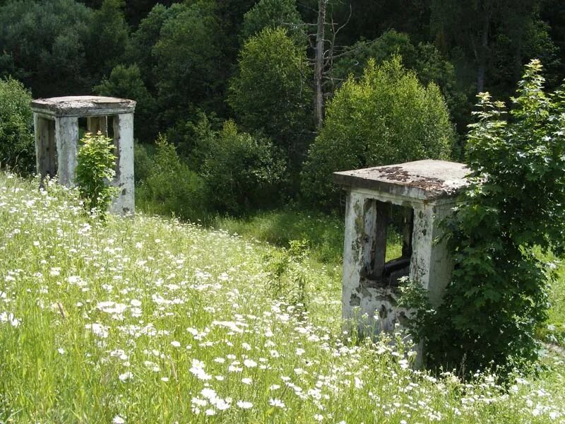 Фоминский городок