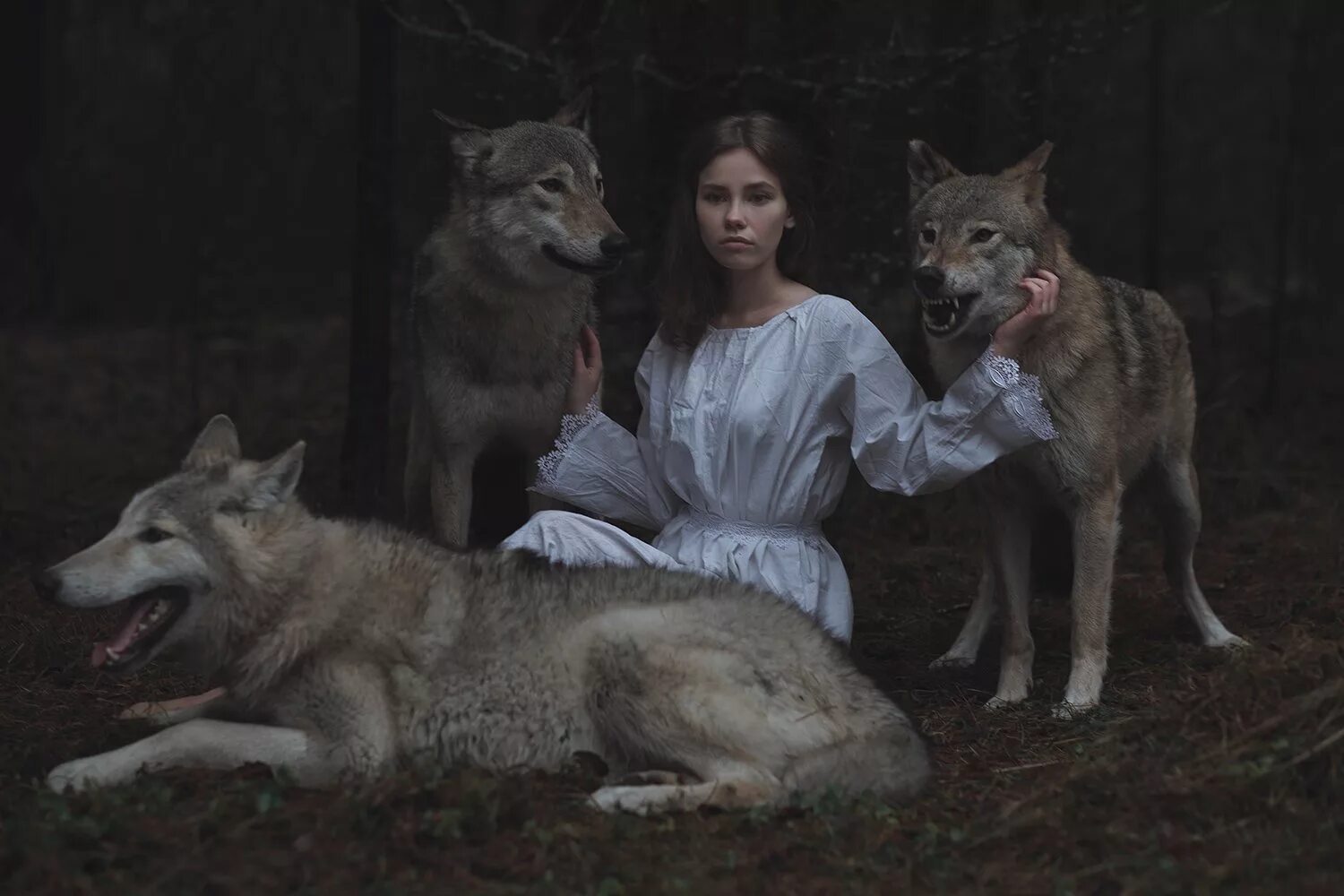 В окружении животных. Девушка с волком. Фотосессия с волком. Фотосессия с дикими животными. Девочка и волк.
