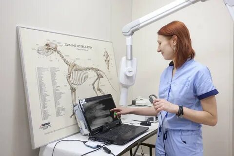 Центр ветеринарной травматологии
