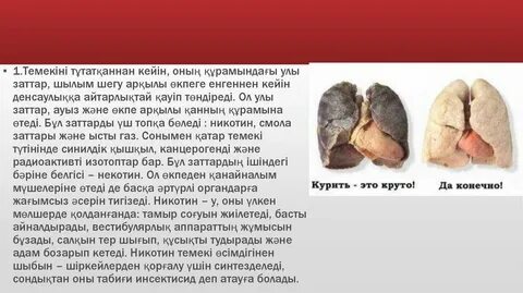 Темекі шегетін нимфеттердің порносы