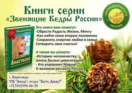 Кедр звенит