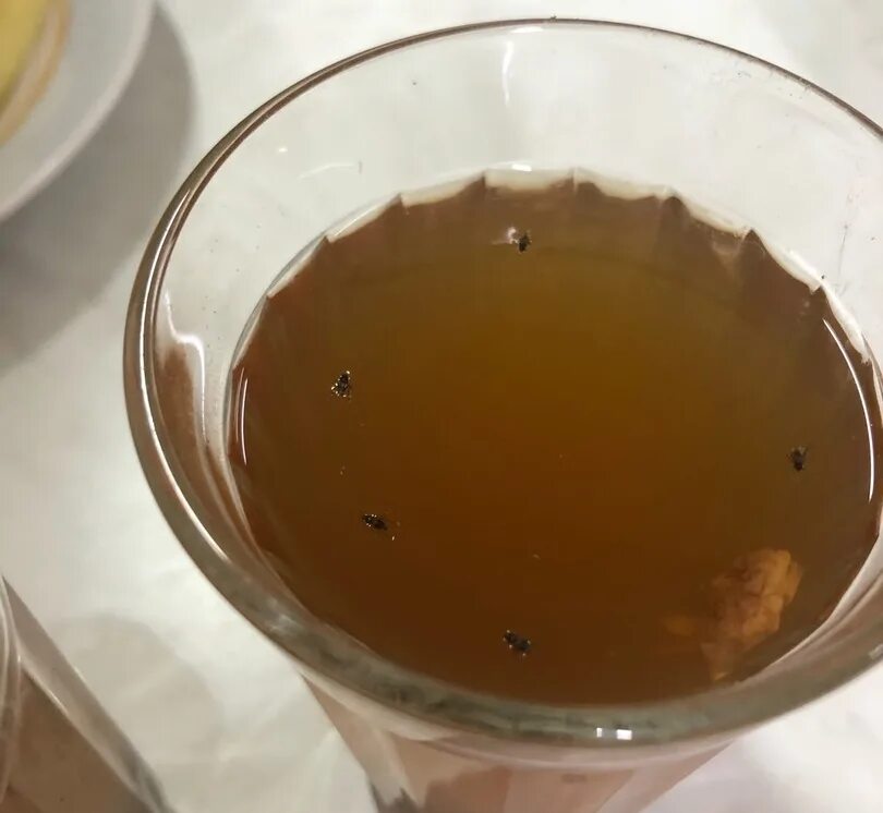 В школьной столовой два стакана компота. Школьный компот. компот из школьной столовой. школьный компот с мозгами.