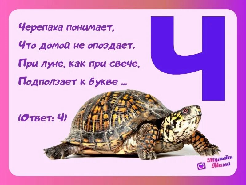 Ответы ч. Стих про букву ч. Загадка про букву ч. Загадки на букву ч для дошкольников. Стишки про букву ч.