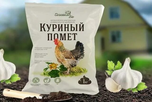 Чеснок удобрение куриным пометом. Подкормка весной чеснока куриным пометом. Куриный помет удобрения для чеснока. Чеснок подкормка птичьим пометом.