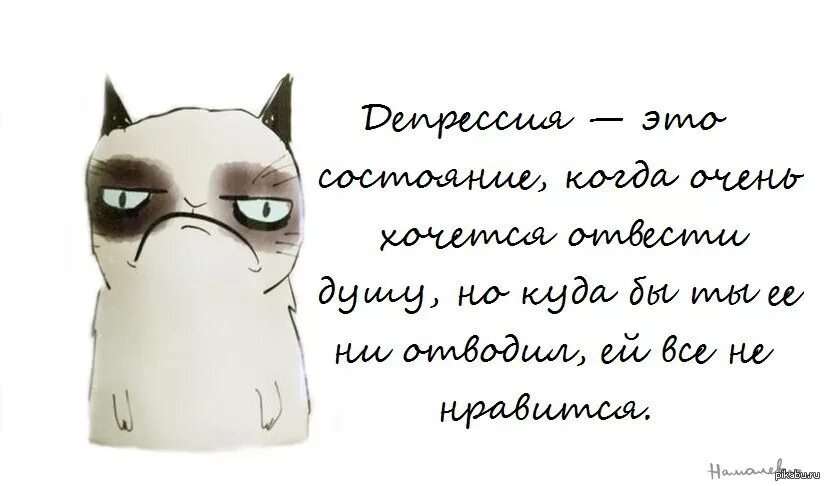 Депрессия прикольные. Депрессия высказывания. Прикольные высказывания про депрессию. Стих про депрессию смешной. Анекдоты про депрессию.