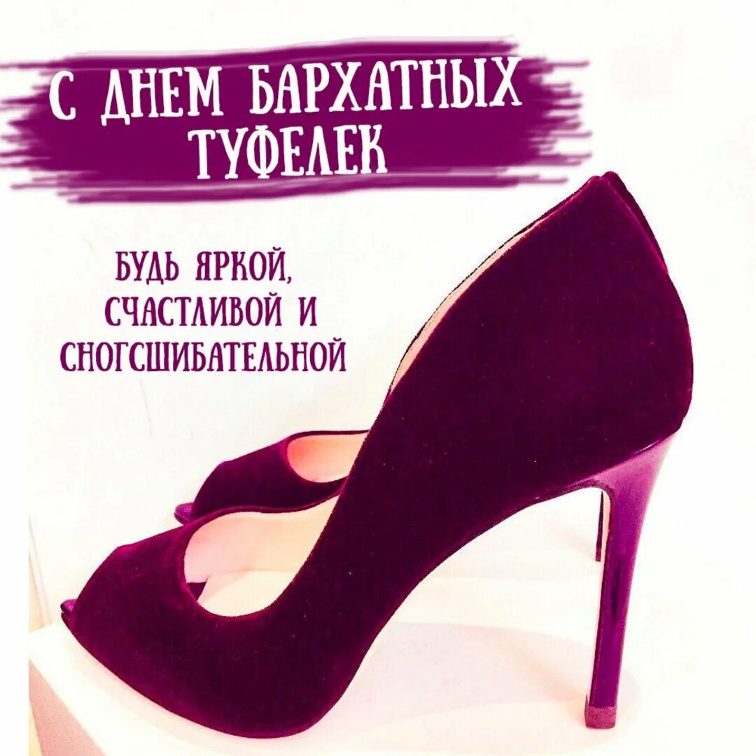 День бархатных туфелек 2023. Pongee ткань. Бархат день. Clover fabrics ткани. День бархатных туфелек 29 августа картинки.