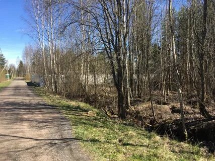 Морозовское городское поселение всеволожского