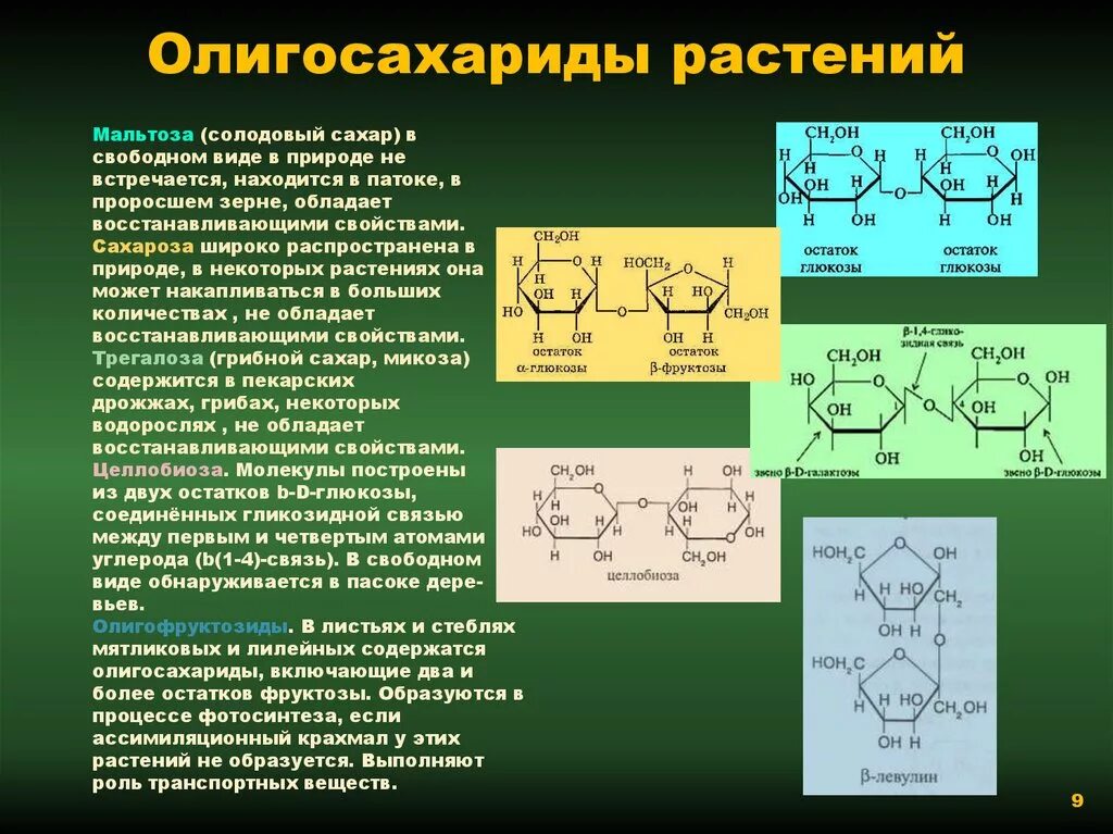 Реализуют содержащиеся в них