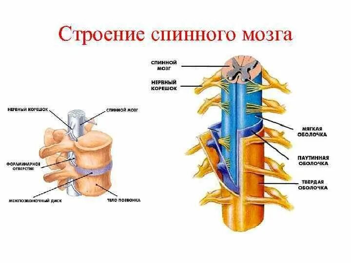 Строение 8