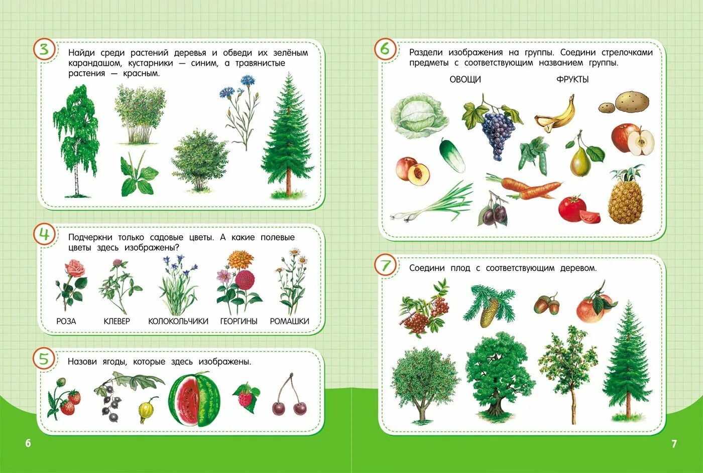 Темы по окружающему миру для дошкольников. Задания по окружающему миру для дошкольников. Растения для дошкольников. Задания по окруж миру для дошкольников. Мир растений игры