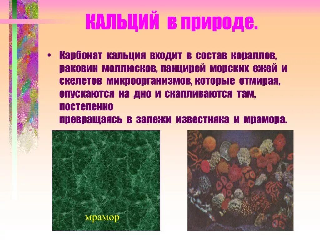 Карбонат кальция в природе встречается. Роль кальция в природе. Карбонат кальция в природе. Интересные факты о кальции. Карбонаты в природе.