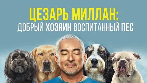 Новые передач собака фан 2024