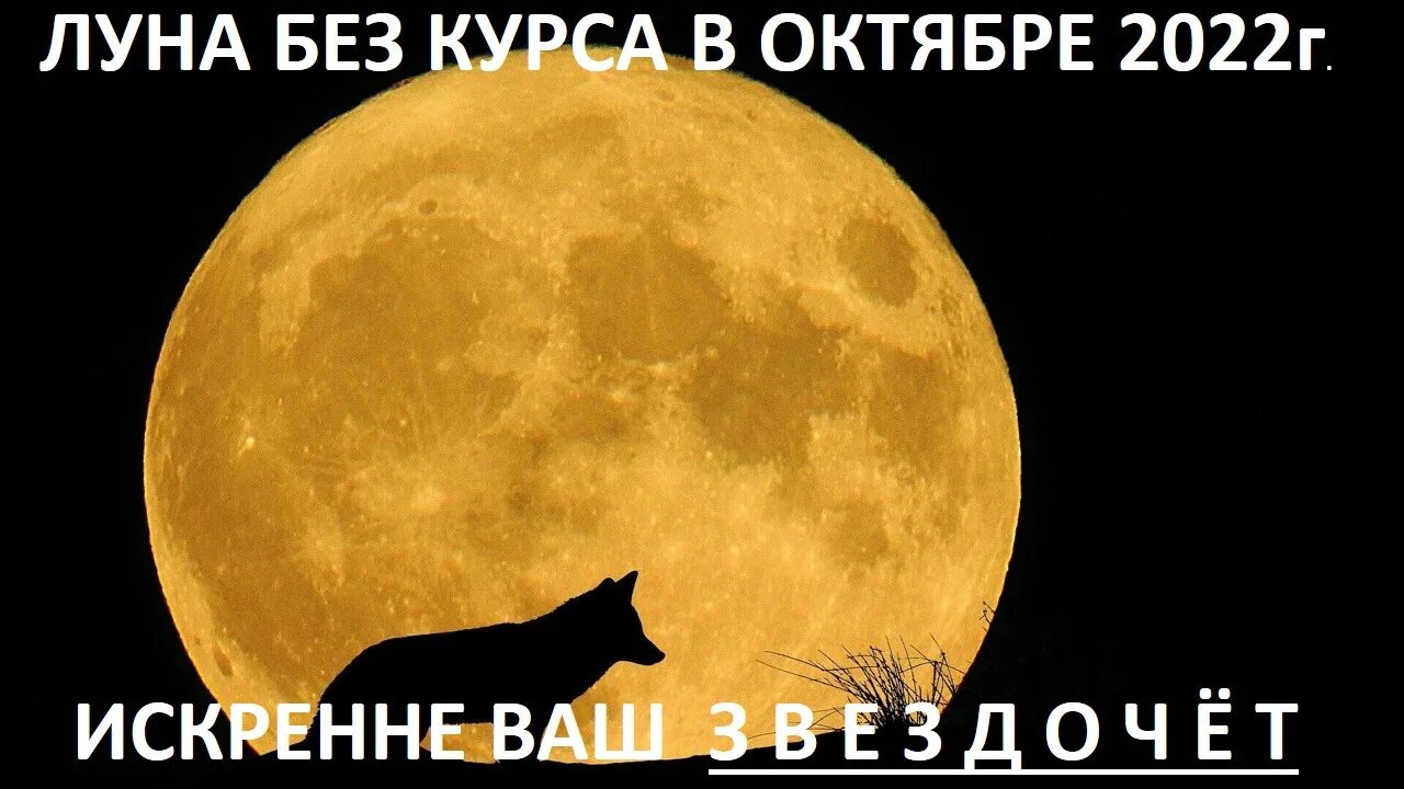 Что будет без луны. Луна 31 октября. Полнолуние в октябре. Луна 1 октября. Луна в октябре 2022.