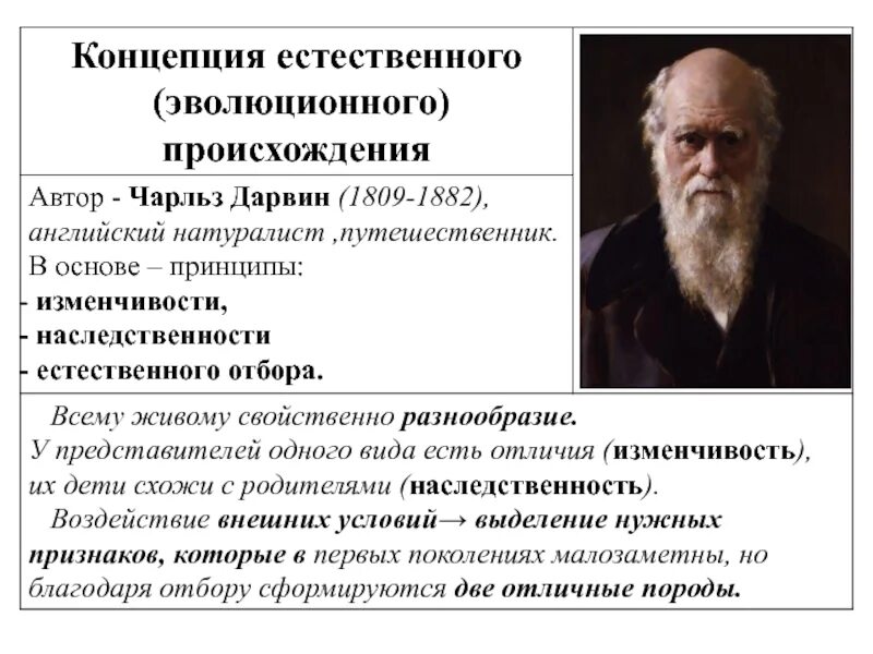 Теория естественного развития. Концепции естественного происхождения. Концепция естественного порядка. Наследственность по Дарвину.