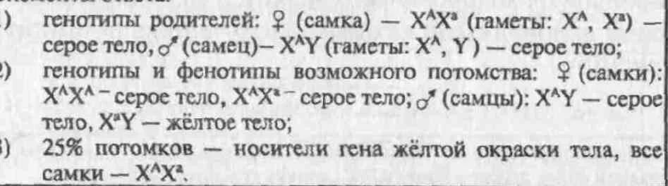 В потомстве самки дрозофилы с красными. У дрозофилы рецессивный ген желтой окраски. серое и желтое тело у дрозофилы. серая гомозиготная самка с серым самцом скрещивание.