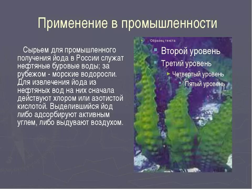Йод россия. Получение йода из водорослей. Экстракция йод и вода. Растение которое выделяет йод. Месторождения йода в России.