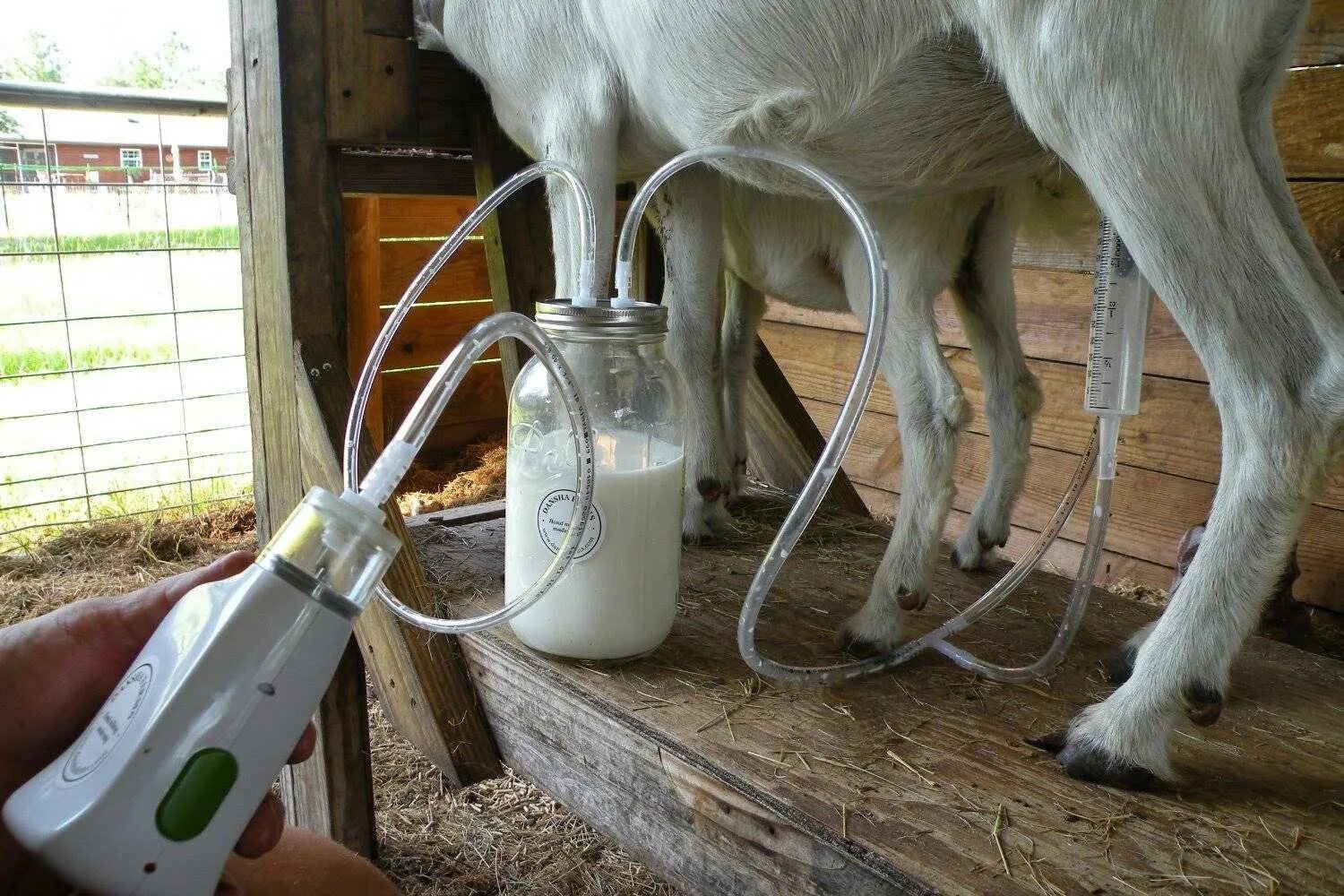 Доильный аппарат ДДА-2. Доильный аппарат Koza. Самодельный аппарат для доения коз. Механический доильный аппарат.