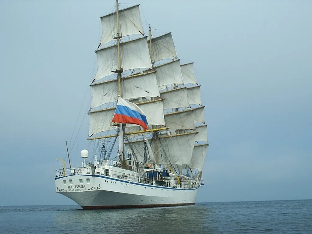 Паллада судно владивосток. Санкт-петербург мосты корабли. Название кораблей. Разом корабля. Имя корабля.