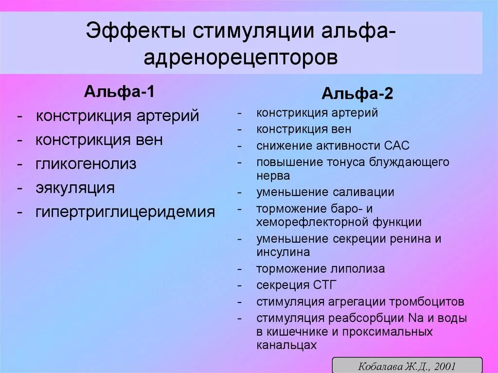 Эффекты альфа адренорецепторов