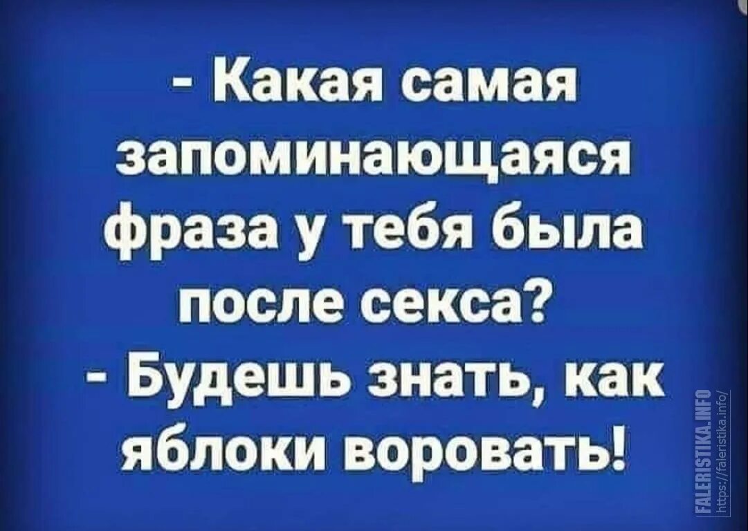 Украденное как пишется. Будешь знать как яблоки воровать. Запоминающиеся фразы. Анекдот будешь знать как яблоки воровать. Запоминающиеся цитаты.