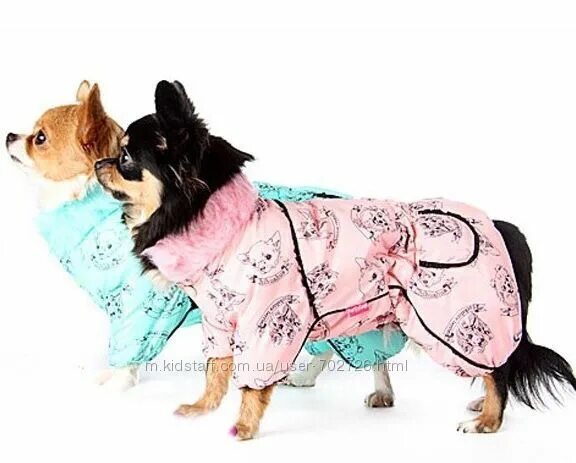 My dogs 3. For my dogs комбинезон для собак fw58-2012m. пижама для шпица девочки. for my dogs одежда чихуахуа. собака шпиц в пижаме.