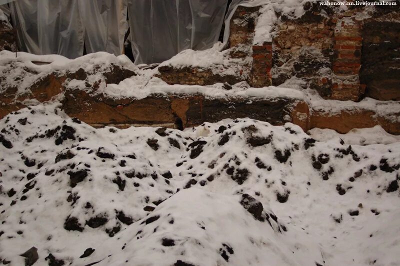 найти кота 23. найти кота 23. найти кота 23. найди кота одноклассники. найди кота уровни.