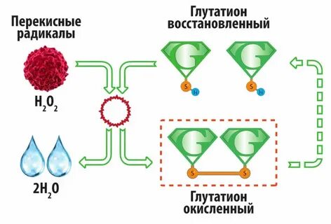 Перекисные радикалы