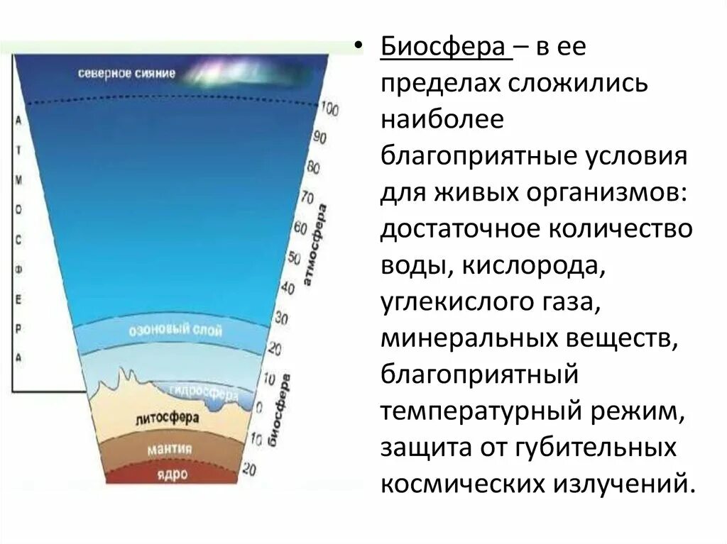 Наиболее благоприятные условия для жизни живых организмов. Биология благоприятные условия. Оболочки земли с живыми организмами. Биосфера ядро и мантию земли. Благоприятные условия для изменений