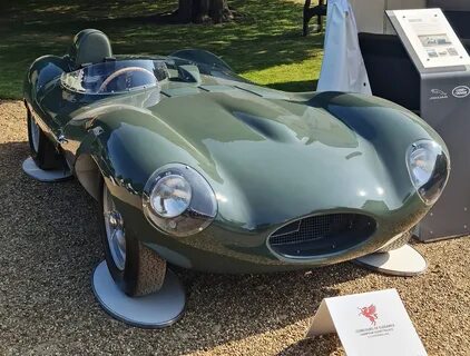 Jaguar d